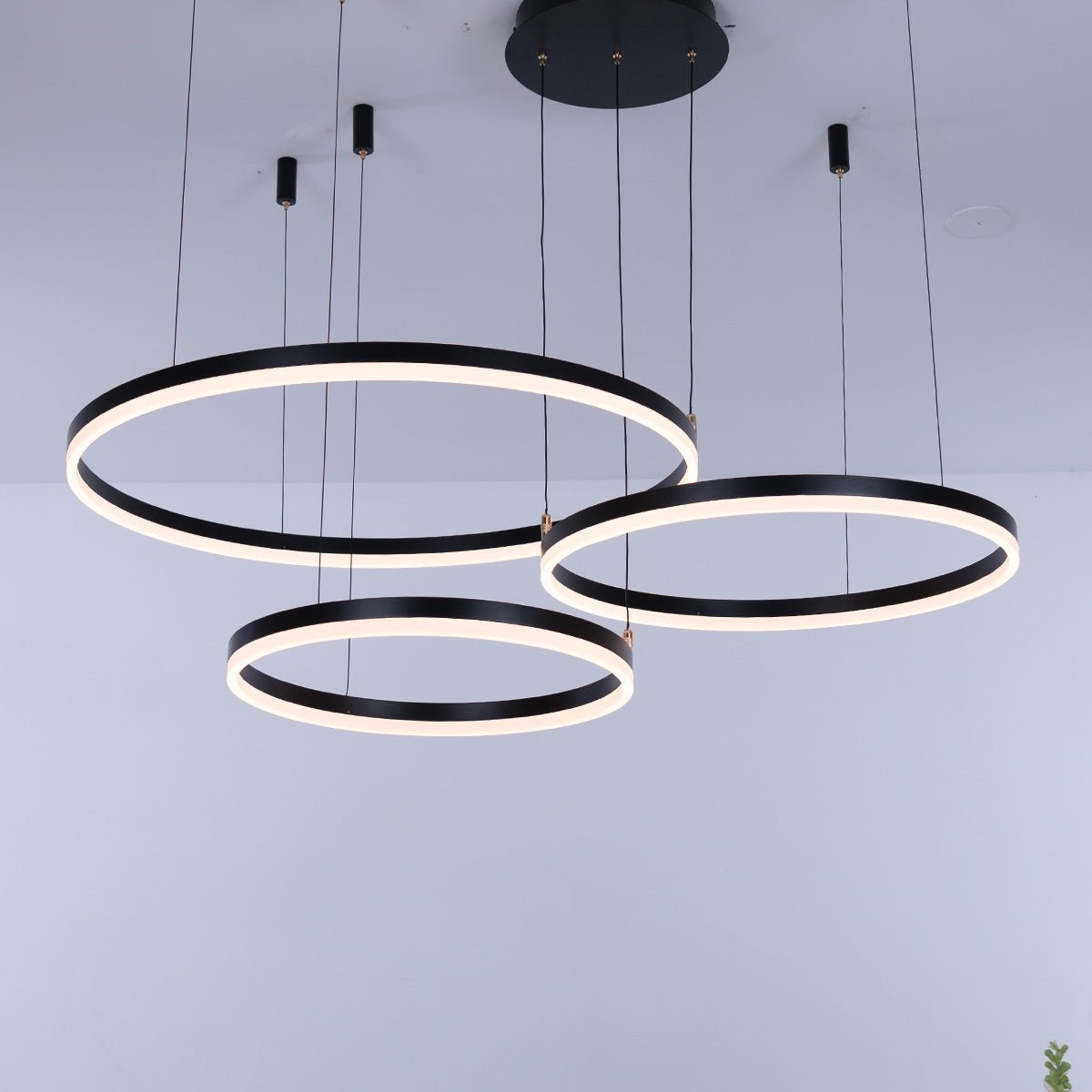 Nordic Ceiling Light Rings • Black - Chandelier - Haus of Interiors