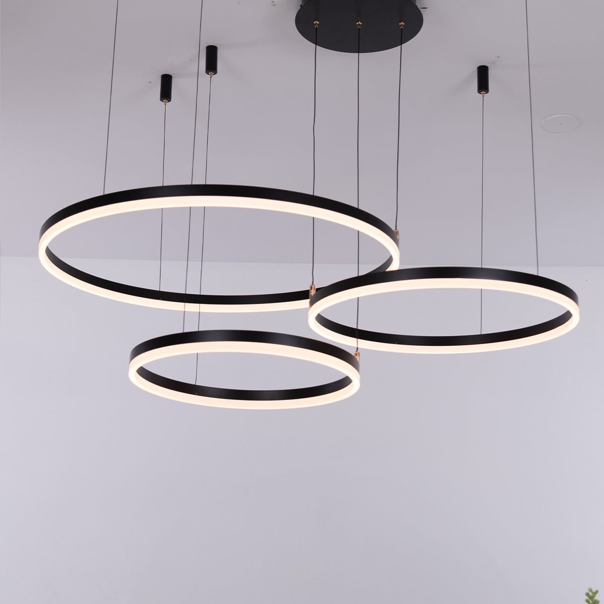 Nordic Rings • Black • 60CM + 80CM + 100CM - Warehouse Sale - Chandelier - Haus of Interiors